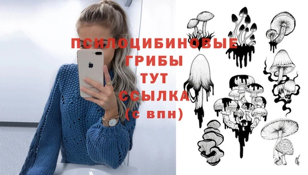 mix Ладушкин